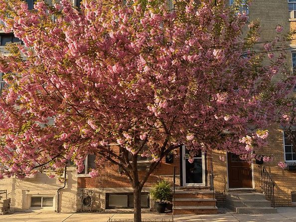 2404 Catharine Street, Philadelphia PA 19146