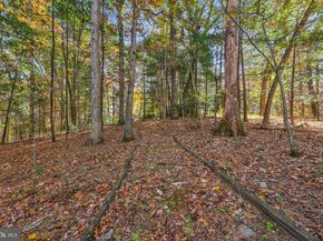 10450 Hunter View Road, Vienna VA 22181