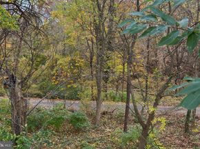 6030 Cedarhurst Street, Philadelphia PA 19143