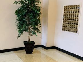 522 21st Street NW 213, Washington DC 20006