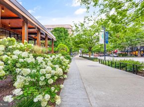 3650 S Glebe Road 1050, Arlington VA 22202