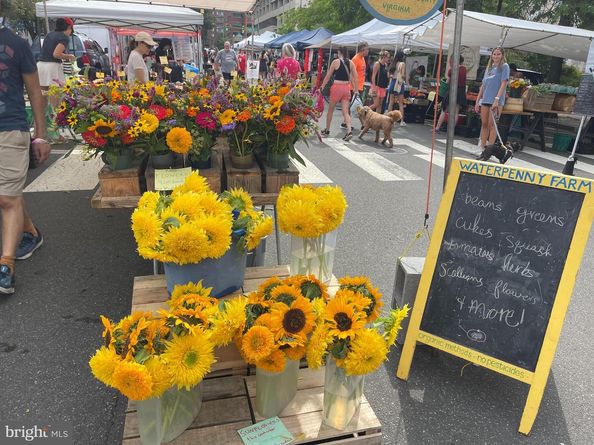 1404 N Herndon Street, Arlington VA 22201