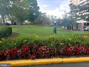 250 S Reynolds Street 206, Alexandria VA 22304