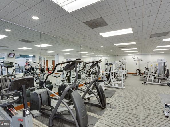 307 Yoakum Parkway 1521, Alexandria VA 22304