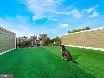 318 Webster Street NW