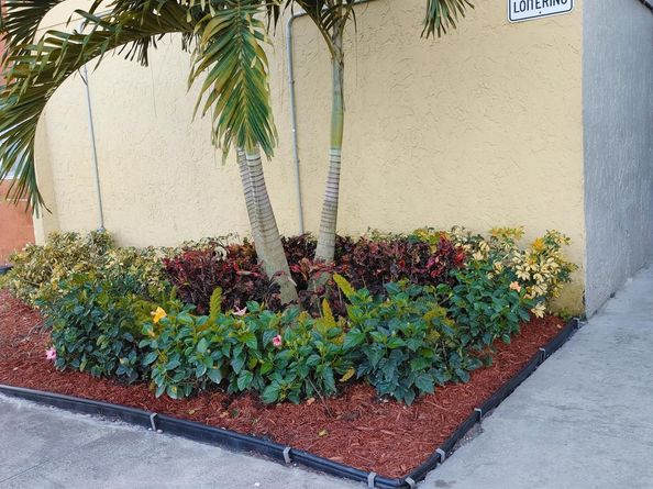 3600 NW 21st Street 209, Lauderdale Lakes FL 33311