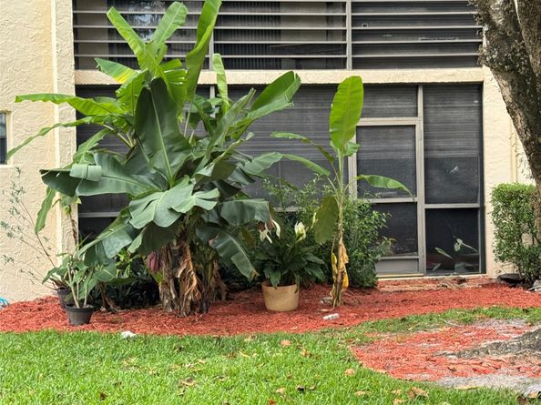 Undisclosed Address #FX-10502424, Plantation FL 33317