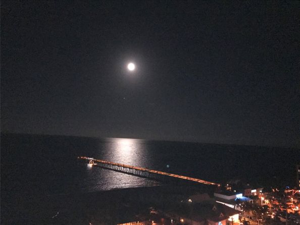 333 NE 21st Ave 1522, Deerfield Beach FL 33441