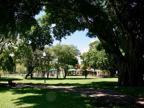 1101 Florida Avenue, West Palm Beach FL 33401