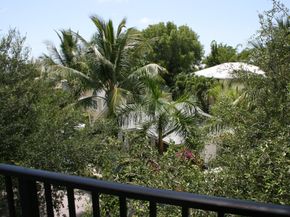 1101 Florida Avenue, West Palm Beach FL 33401