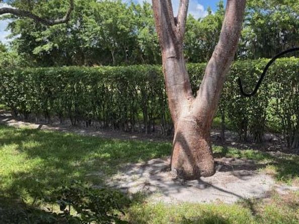 8025 Whispering Palm Drive, Boca Raton FL 33496