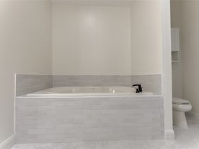 1616 Fountain View Drive 202, Houston TX 77057
