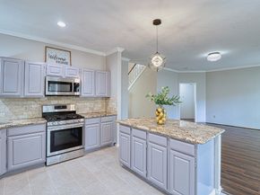 427 Birch Hill Drive, Sugar Land TX 77479