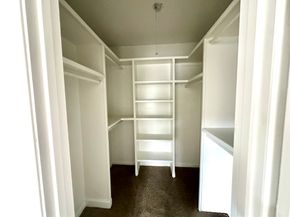 3123 Ashford Arbor Drive, Houston TX 77082