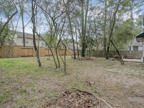 67 Winter Wheat Place, The Woodlands TX 77381