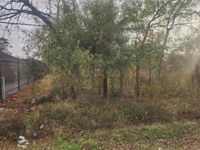 7821 Ethel Street, Houston TX 77028