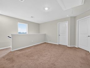 11416 Bright Sun Drive, Houston TX 77048