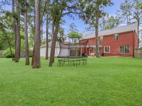 59 E Rumplecreek Place, The Woodlands TX 77381