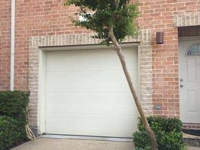 3501 Link Valley Drive 901, Houston TX 77025