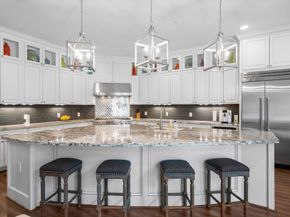 13 Honey Daffodil Place, The Woodlands TX 77380