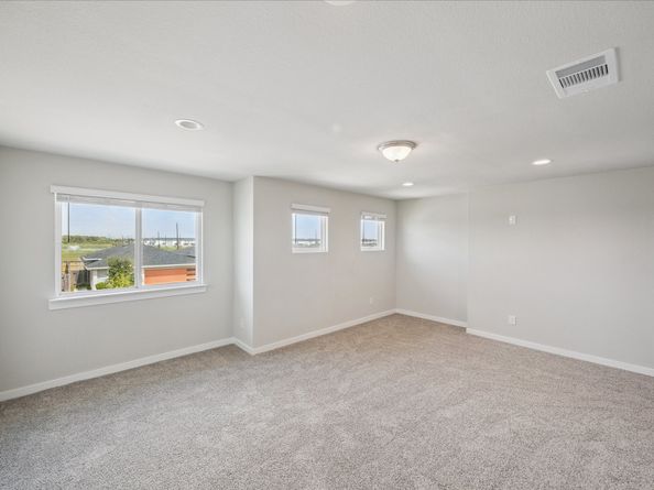 2818 Chancery Summit Court, Houston TX 77047