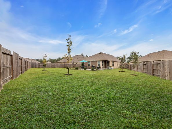 3003 Halleton Court, Porter TX 77365