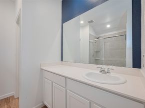 20914 Cropani Shadow Drive, New Caney TX 77357