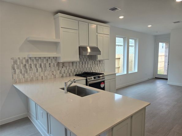 29026 Bison Haven Lane, Hockley TX 77447