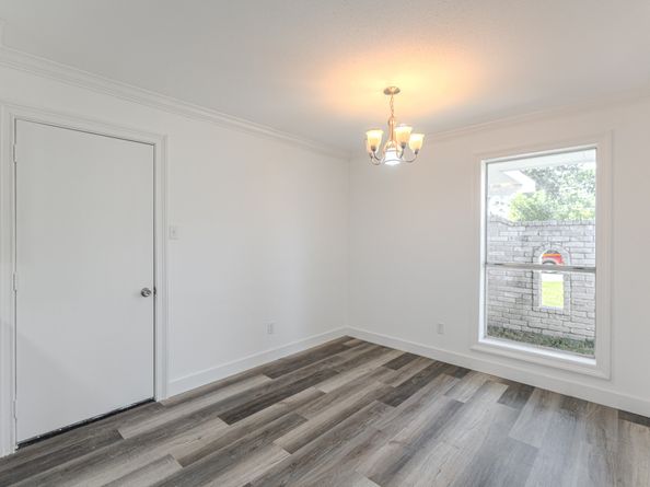 10126 Pine Moss Drive, Houston TX 77040