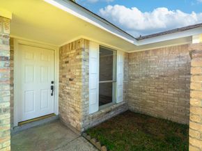 10126 Pine Moss Drive, Houston TX 77040
