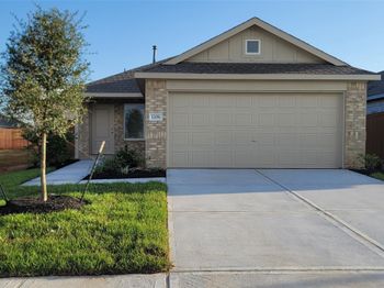 1355 Diamond Carnation Drive