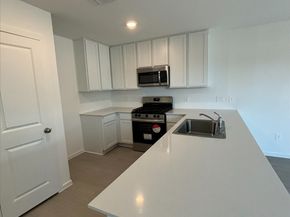 1355 Diamond Carnation Drive, Conroe TX 77301