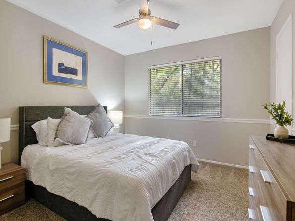 17 W Broken Oak, The Woodlands TX 77381