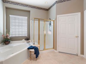 162 E Northcastle Circle, The Woodlands TX 77384