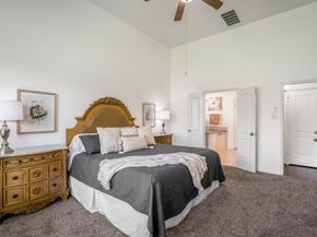 18719 Big Elm Drive, Cypress TX 77433