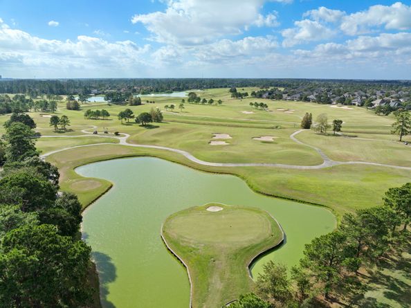 34 Kerloch Point, Spring TX 77379