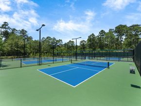 97 E Greenhill Terrace Place Place, The Woodlands TX 77382