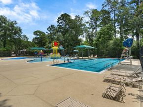97 E Greenhill Terrace Place Place, The Woodlands TX 77382