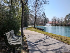 50 S Dylanshire Circle, Conroe TX 77384