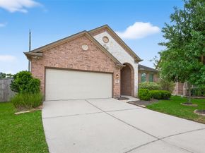 9914 Deborah Colony Lane, Humble TX 77396
