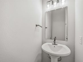 13134 Perennial Springs Drive, Houston TX 77048