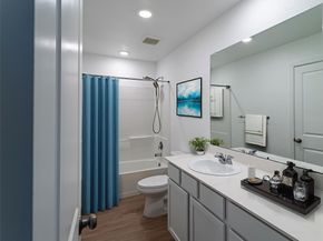 20914 Cropani Shadow Drive, New Caney TX 77357