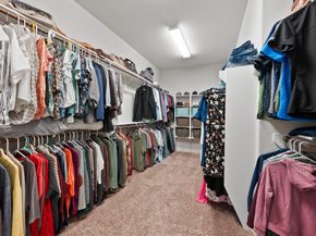 3325 Boxwood Forest Court, Conroe TX 77301