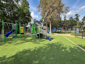 30303 Castle Forest Drive, Spring TX 77386