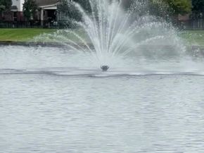 30303 Castle Forest Drive, Spring TX 77386