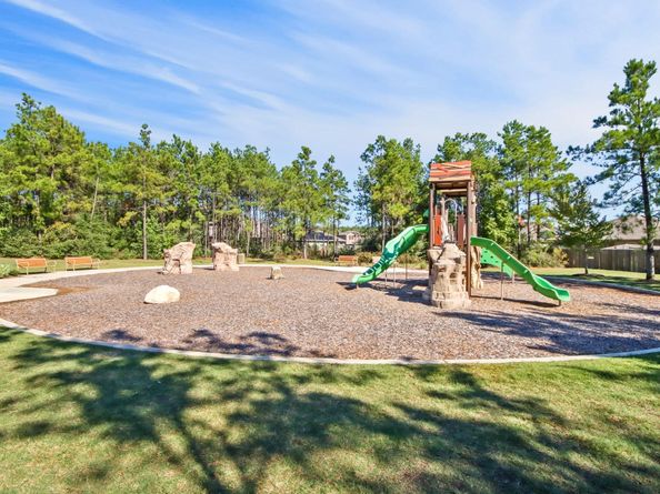 20328 Springer Creek Trail, New Caney TX 77357