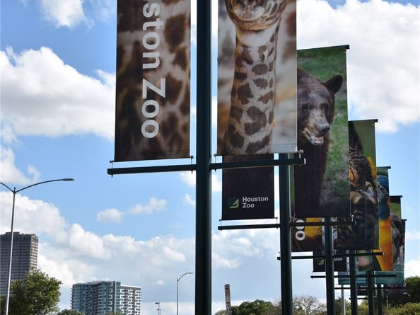 3009 Jensen Springs Lane, Houston TX 77026