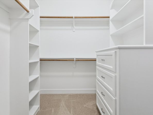 11519 Main Maple Drive, Houston TX 77025