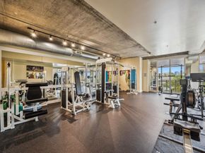 1616 Fountain View Drive 209, Houston TX 77057