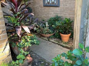 13902 Hollowgreen Drive 27, Houston TX 77082